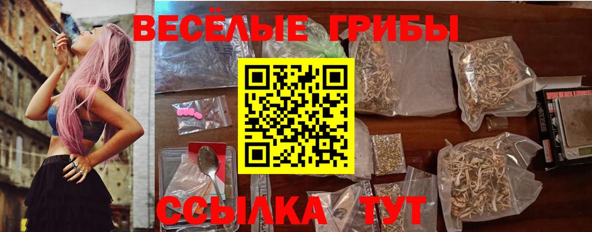 как найти закладки  Галлюциногенные грибы GOLDEN TEACHER  Вход с VPN  Знаменск 